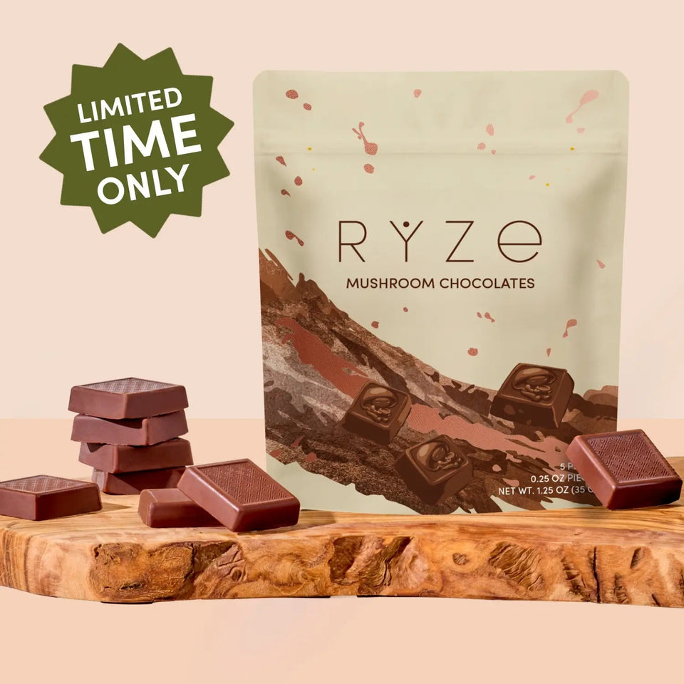 Mushroom Chocolates Rye (15 pieces) - Simple Mushroom Ready